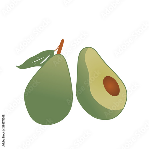 Illustration of avocadoes