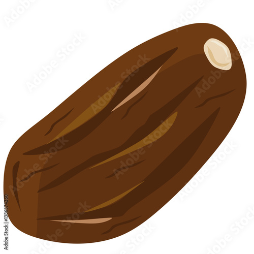 date fruit illustration