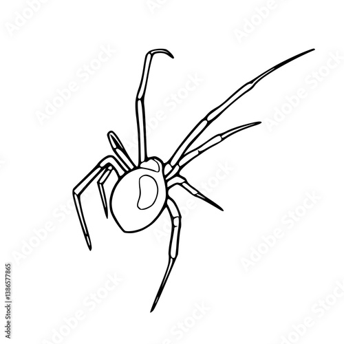 spider insect outline vector