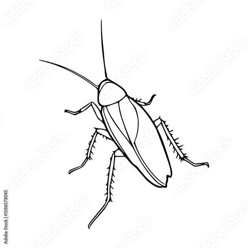 cockroach insect outline vector