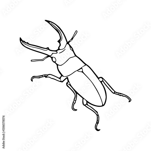 stag beetle outline vector