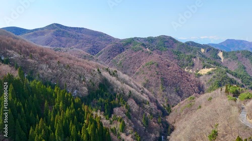  Drone Footage of Forested Mountains in Japan
