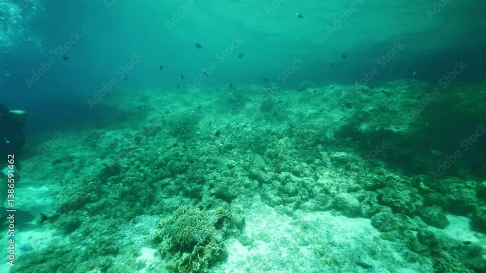 Stunning underwater setting with natural bottom landscape Stunning underwater setting with natural bottom landscape