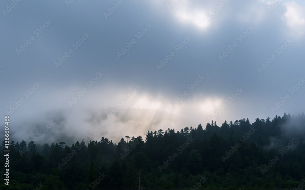 Obraz premium Sun rays pierce through thick clouds over a dense forest. Fog hangs low, creating a mysterious and atmospheric landscape in nature.