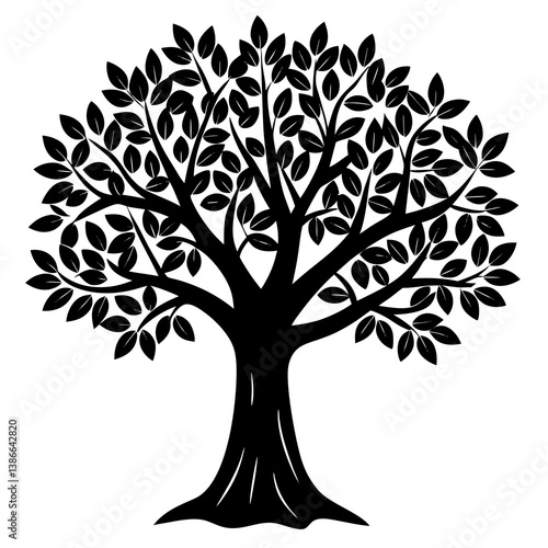 Olive tree isolated on white background