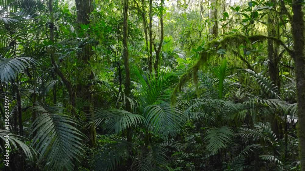 Flying through between trees in a dense forest Flying through between trees in a dense forest