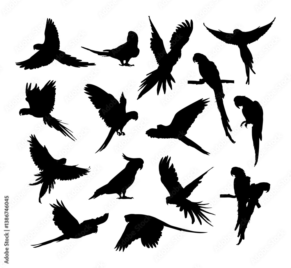 Obraz premium vector black silhouette of a parrot bird