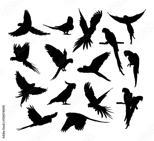 vector black silhouette of a parrot bird