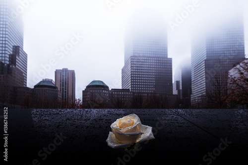 Photographing the Skyline of New York City. 
