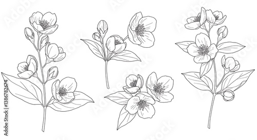 Botanical Line Art: Delicate Jasmine Sketches AI Generated