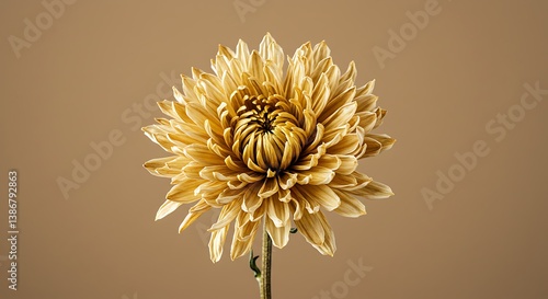 Golden Chrysanthemum: A 3D Floral Study AI Generated