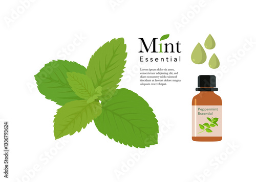 Peppermint Essential Aromatherapy oil on white background