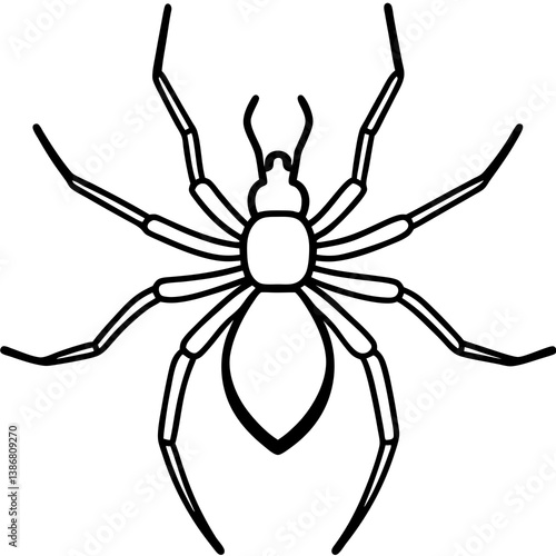 Minimal Brown Recluse Spider Line Vector