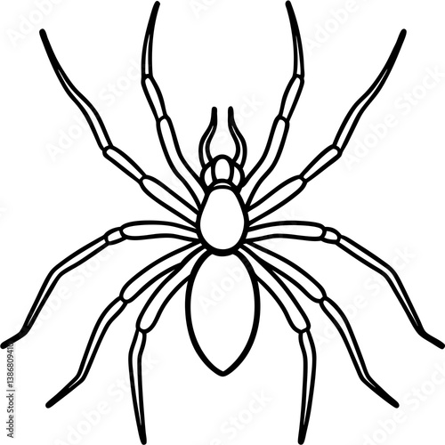 Minimal Brown Recluse Spider Line Vector