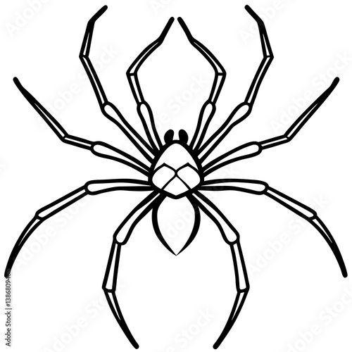 Minimal Brown Recluse Spider Line Vector
