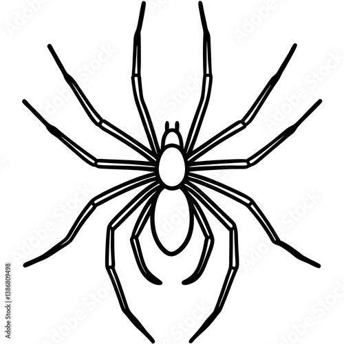 Minimal Brown Recluse Spider Line Vector