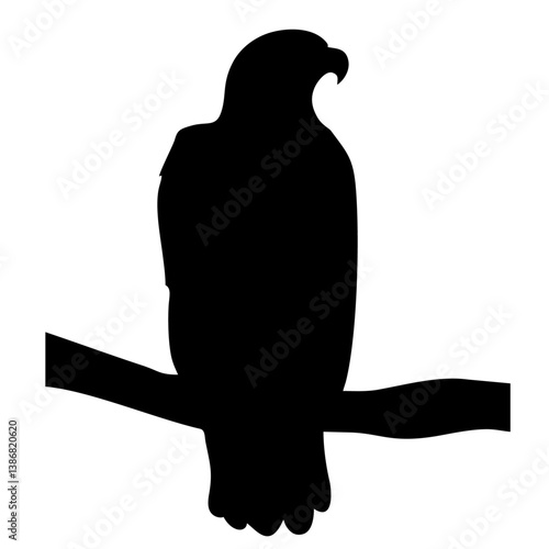 silhouette of an eagle resting in a tree