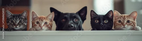 Obraz Cat and Dog Together: A heartwarming moment captured of a cat and dog, showcasing their charming glances towards the camera. A true testament to the harmony between feline and canine companions.