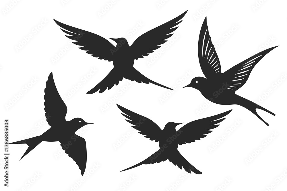 set of Sabrewing bird silhouette vector illustration set of Sabrewing bird silhouette vector illustration