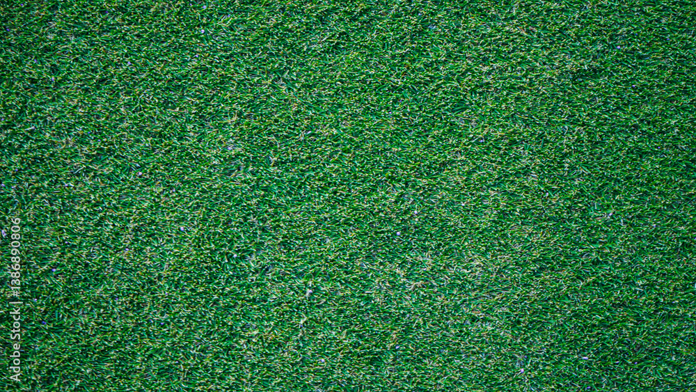 Fototapeta premium Green grass background, top view background of garden bright grass concept used for making green backdrop, lawn for sports field.