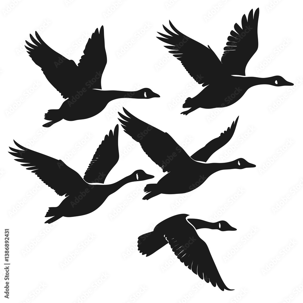 Obraz premium Goose silhouette vector illustration