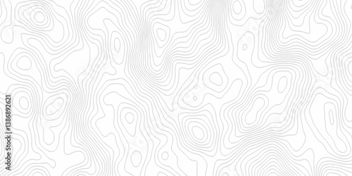 White topography topology vector white background fresh contour map texture. white seamless pattern Abstract background with a wave Topography and geography map grid abstract backdrop.