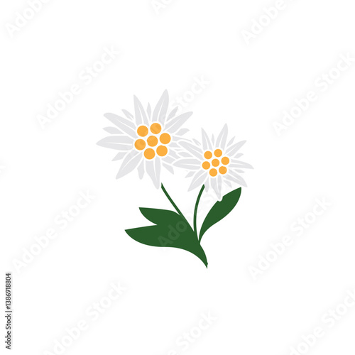 Edelweiss logo. Isolated edelweiss on white background