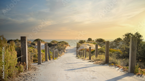 Footpath leading to beach with beautiful sunset