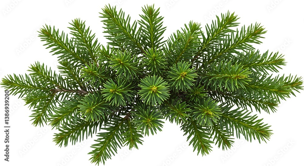 Naklejka premium Emerald Canopy AI Generated