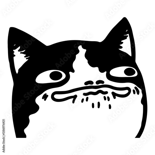 Funny Cat Face