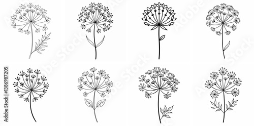Queen Anne Lace – Outline Coloring Book Line Art Set
