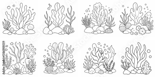 Underwater Wonders – Seaweeds, Stones, and Corals Outline Coloring Book Set