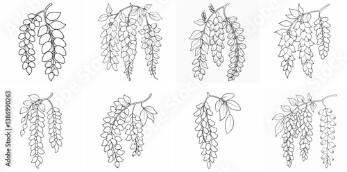 Elegant Wisteria Blooms – Outline Coloring Book Line Art Set