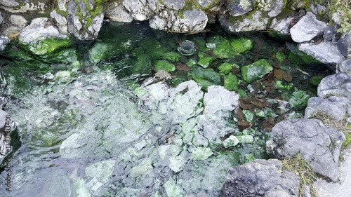 草津温泉・西の河原の温泉藻が輝く池