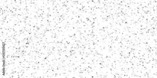 Terrazzo flooring texture polished stone pattern old pebble stones wall texture background. Silver Explosion Of Confetti. Modern with marble texture quartz surface bathroom or kitchen countertop.