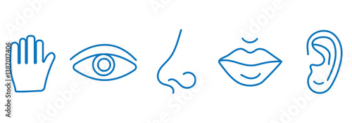 Five Senses line icons Five senses icon, representing the senses: eye (sight), nose (smell), ear (hearing), tongue (taste), and hand (touch) - ideal for web design education 
