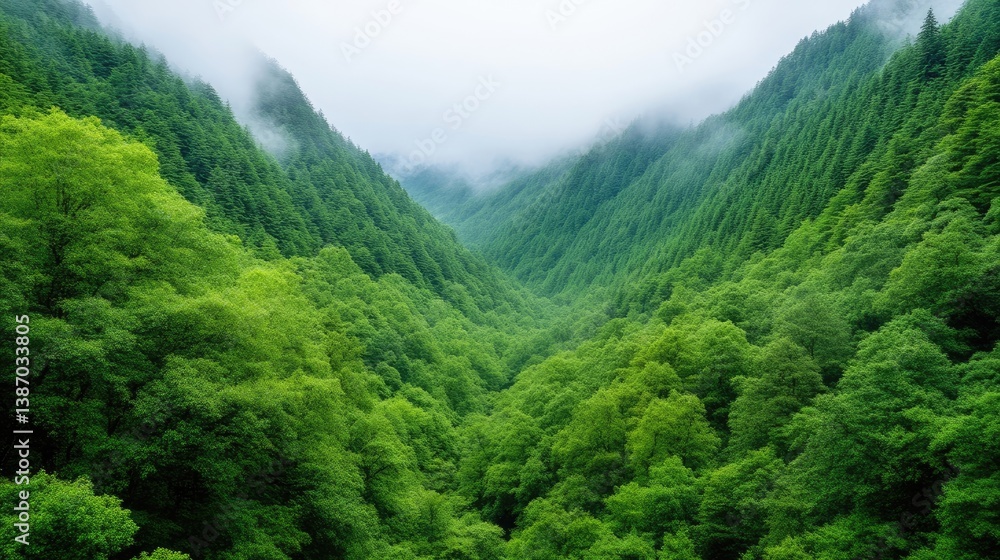 Lush green mountain valley shrouded in mist Lush green mountain valley shrouded in mist