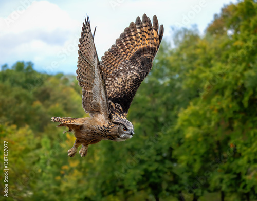 Obraz na płótnie Flying Eurasian eagle-owl w salonie