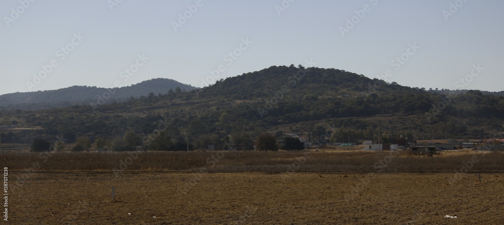 Obraz premium paisaje con colinas verdes con arboledas y fondo azul y campos de cultivo