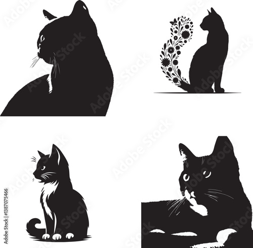 A beautiful woman strokes her pet's head. The contented cat purrs in the arms of its owner. Gray Scottish straight cat. The closeness between a person and a pet.