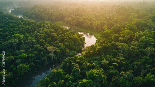 Fototapeta Naklejka Na Ścianę i Meble -  Amazon rainforest aerial view background. River cutting through dense, lush tropical forest. Calm water reflects greenery of surrounding trees and creating serene and peaceful atmosphere