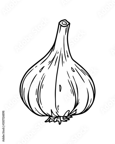 Hand-drawn style vector icon illustration of garlic. Kitchen ingredient, cooking, food.