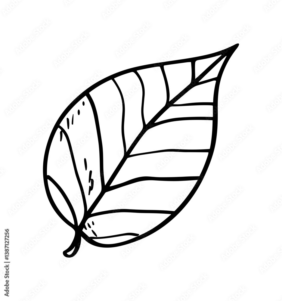 Naklejka premium Leaf vector icon, line art. Nature symbol, drawing art illustration.