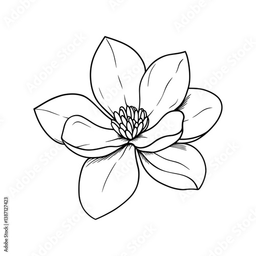 Detailed magnolia flower outline vector illustration