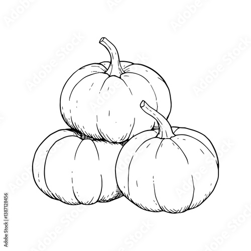 A stack of three pumpkins, hand-drawn in black and white. Vector design for farm, garden, market