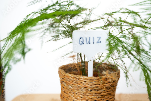 quiz sign symbolizing test, exam or q&a session online