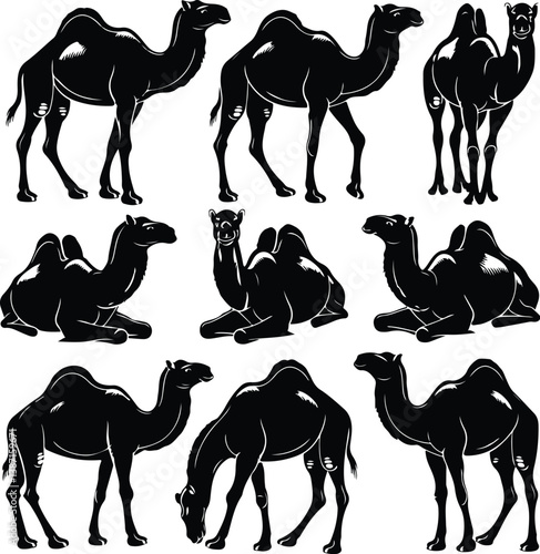 Camel Silhouette Set | Dromedary, Nomadic Travel, and Wildlife Desert Illustration Camels Silhouette Set | Desert Animal, Caravan Travel, and Middle Eastern Vector Collection