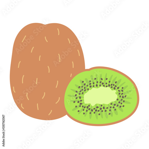 Illustration of kiwi fruit flesh