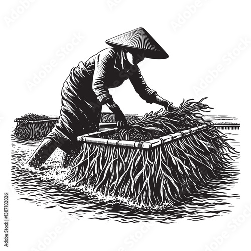 Monochrome illustration of sustainable aquaculture farming practice of seaweed cultivation