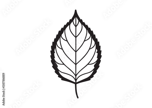 Birch leaf silhouette Vector
